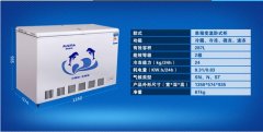 家用冰柜哪個(gè)牌子銷(xiāo)量好