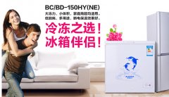 常見(jiàn)家用小冷柜的選擇，哪個(gè)牌子好？