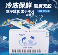關(guān)于購買家用小冷柜的小竅門