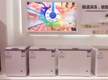 重新定義家用冷柜 澳柯瑪展出-40℃深冷冷柜